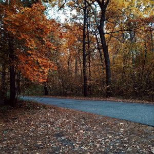 Примеры фотографий