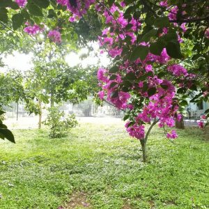 Примеры фотографий