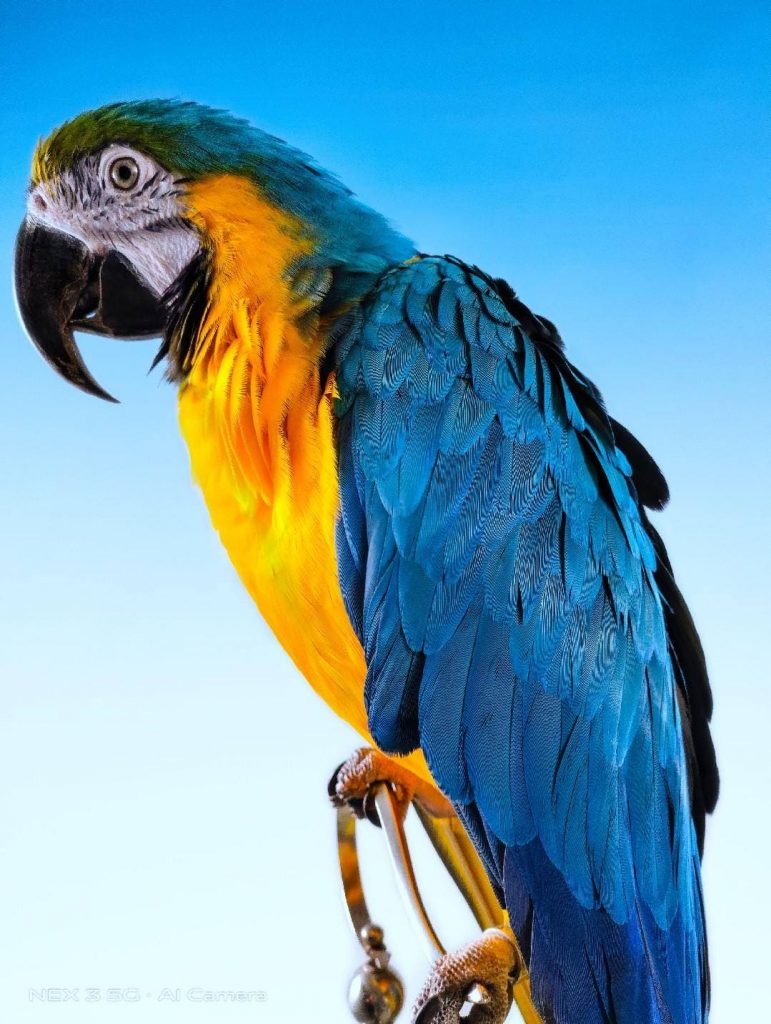 Фото с камеры