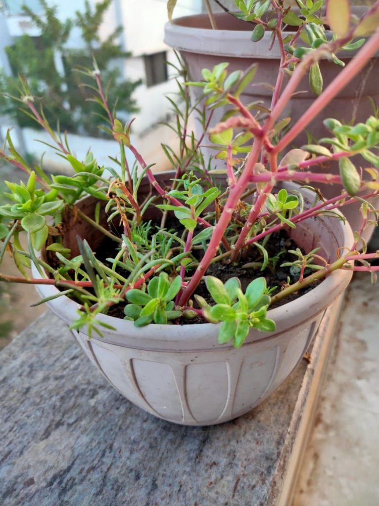 Фотография с камеры