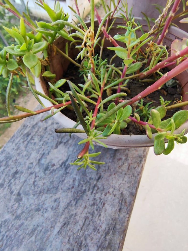 Фото с камеры