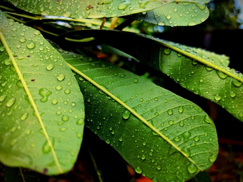 Фотографии с камеры 64 МП