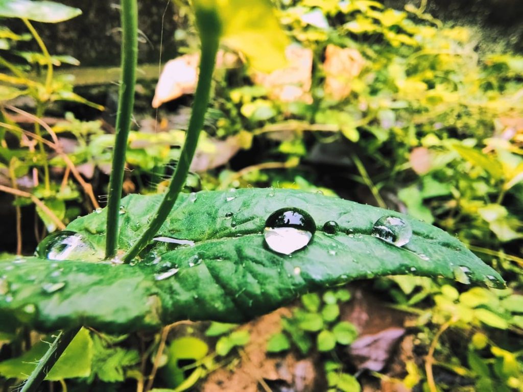 Фотографии с камеры